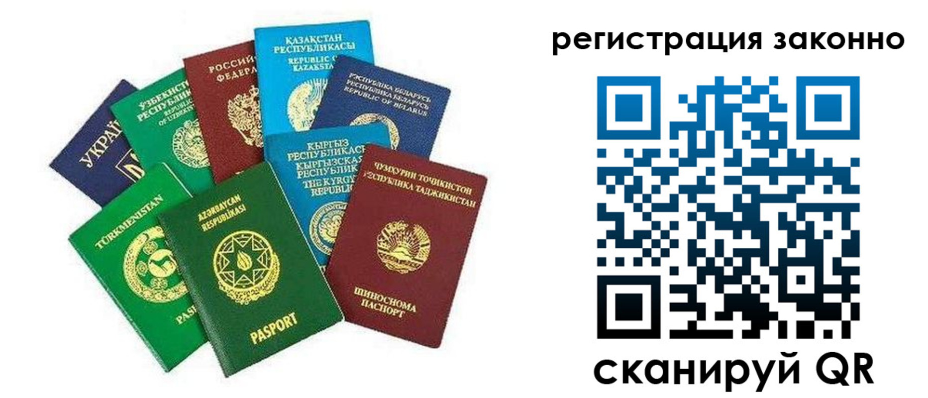 временная регистрация поиск в Михайловке